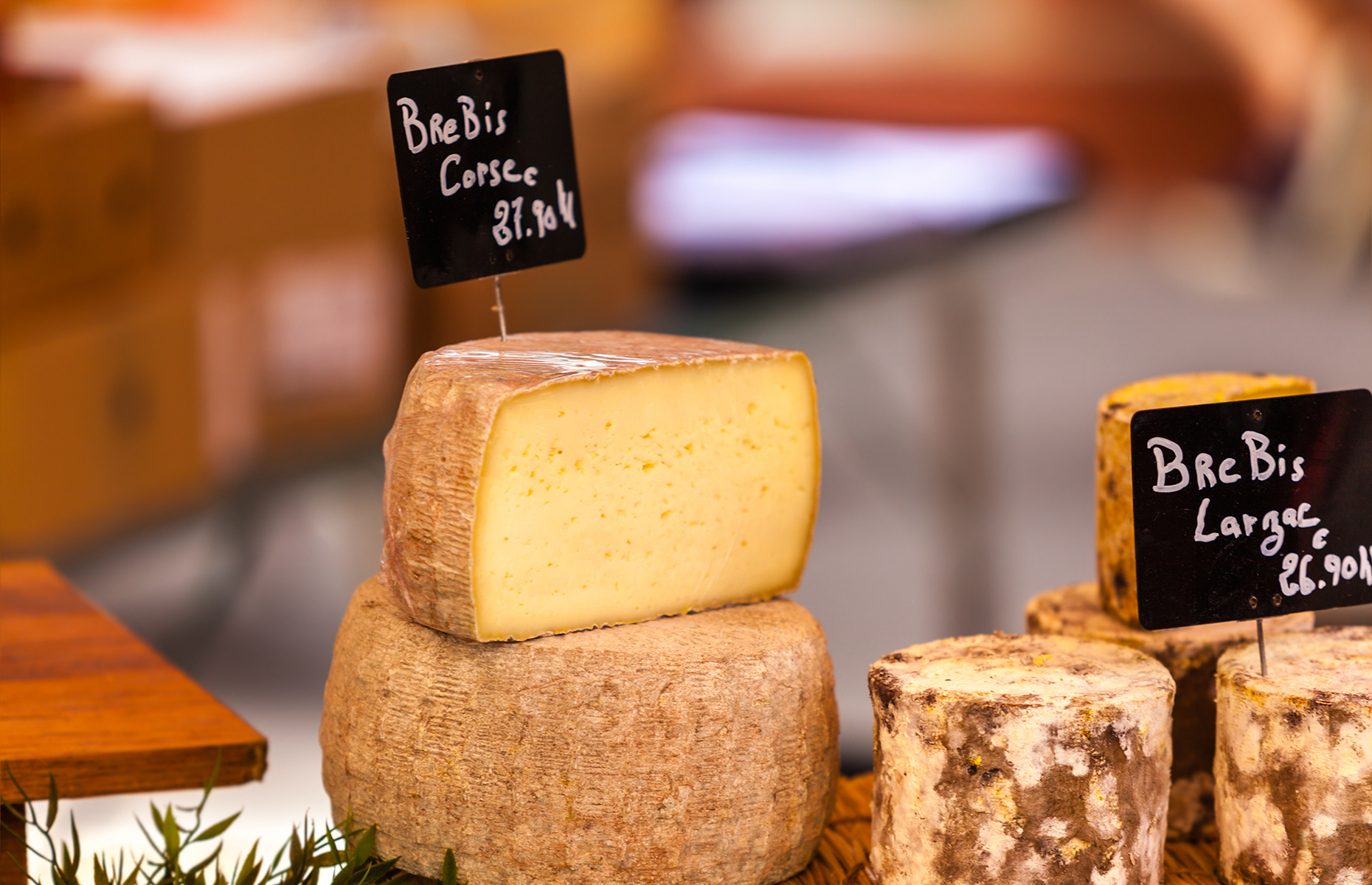 Corsica Sd Cheese at Velma Kiger blog